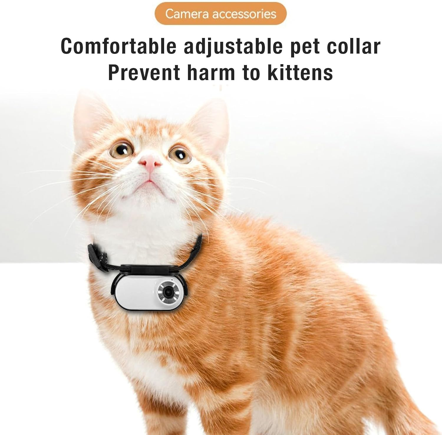 Eine orangefarbene Katze trägt ein Halsband mit einer kleinen Kamera.