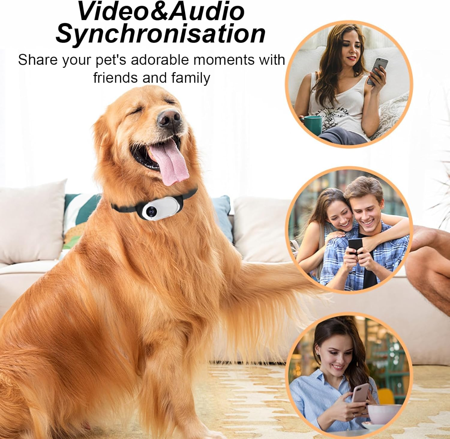 Goldener Retriever mit Halsbandkamera, zeigt Paare und Frauen mit Handys.