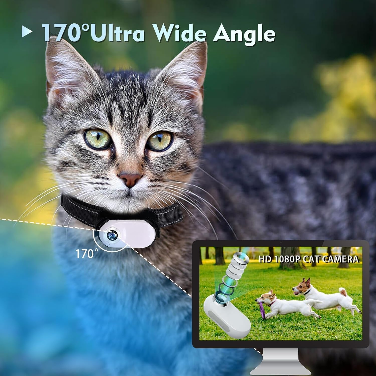 Katze mit Halsbandkamera, 170° Ultra-Weitwinkel, zeigt spielende Hunde auf dem Bildschirm.