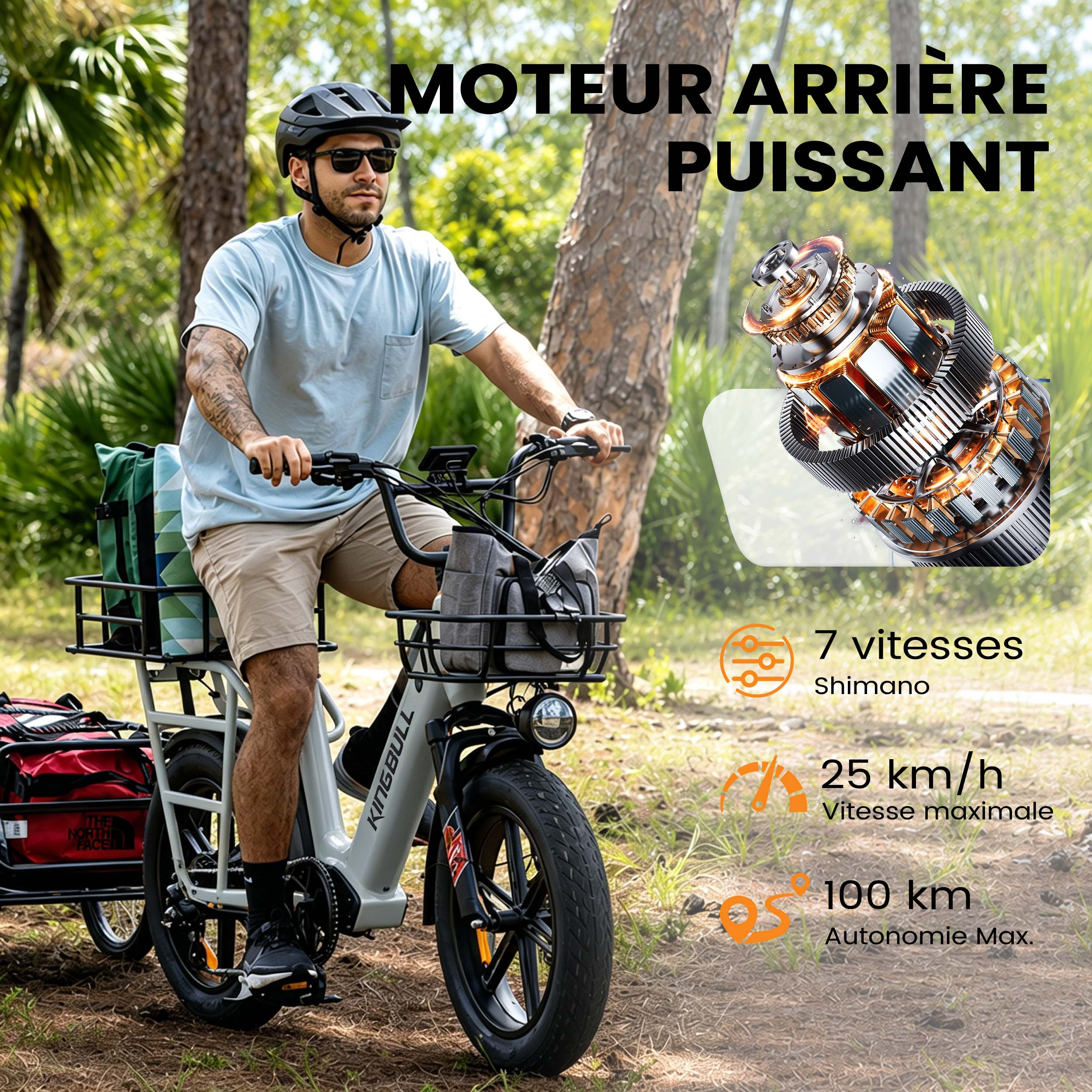 Mann fährt E-Bike mit Anhänger im Wald. Motor, 7 Gänge, 25 km/h, 100 km Reichweite.