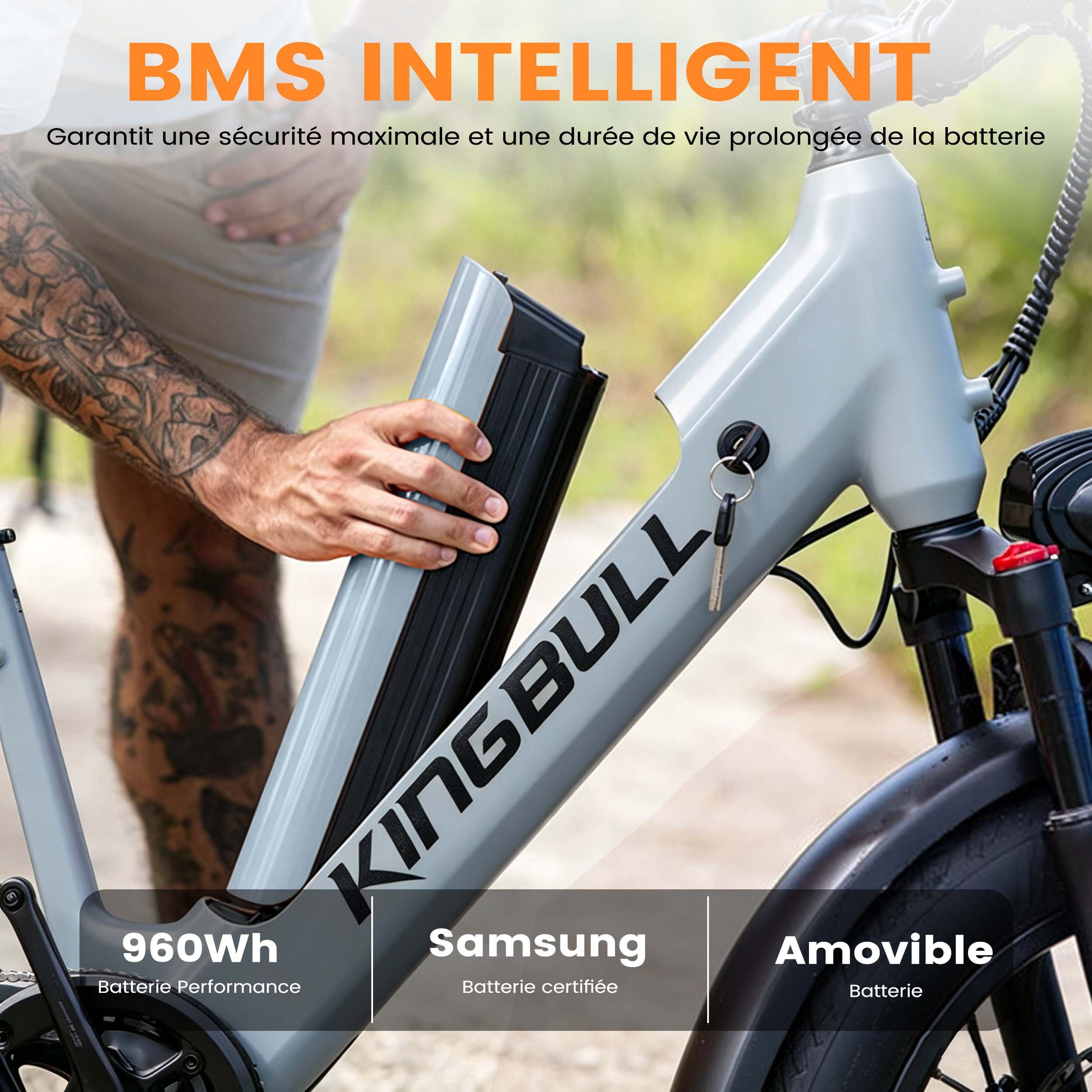 Mann entnimmt abnehmbaren Akku (960Wh, Samsung) aus grauem E-Bike.