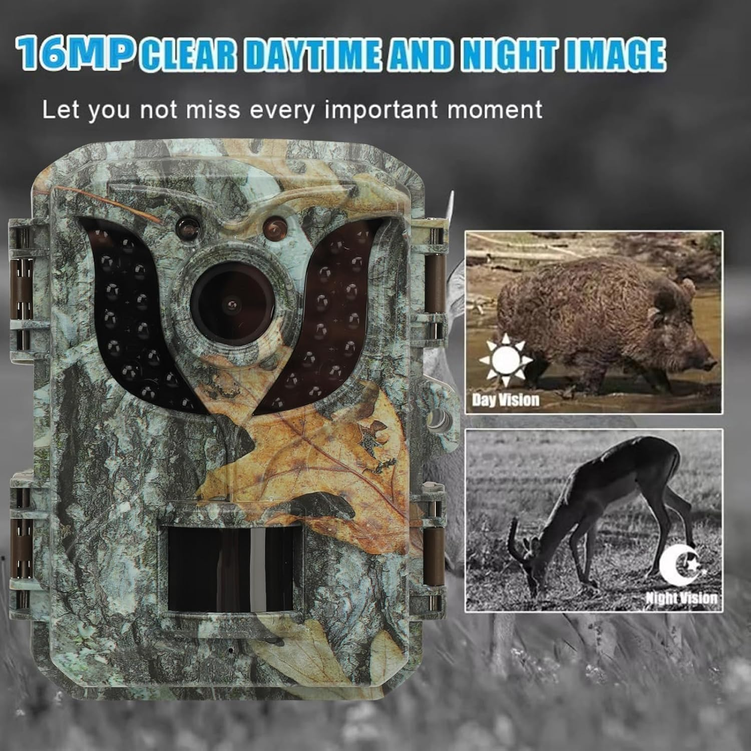 Wildkamera mit Tag- und Nachtsicht, zeigt Wildschwein und Hirsch.