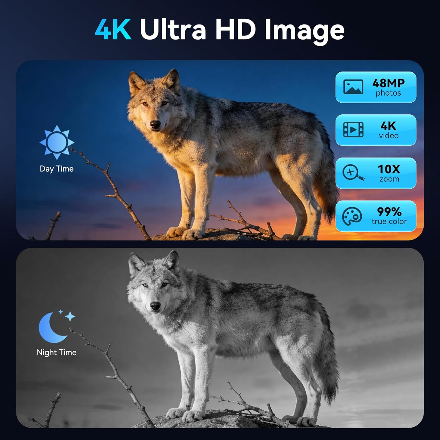 Wolf im Tageslicht und Graustufen-Nachtmodus. Bietet 48MP Fotos, 4K Video, 10-fach Zoom.