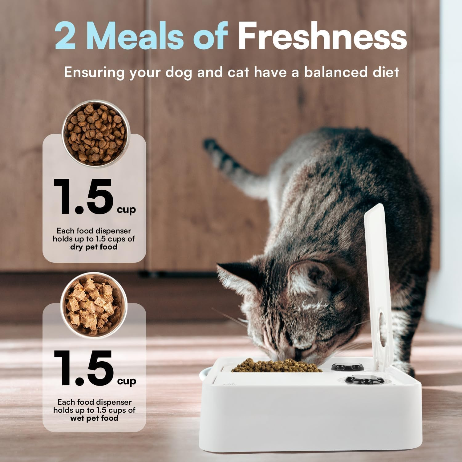 Katze frisst aus weißem Futterspender. Trocken- und Nassfutter mit 1,5 Tassen Kapazität.