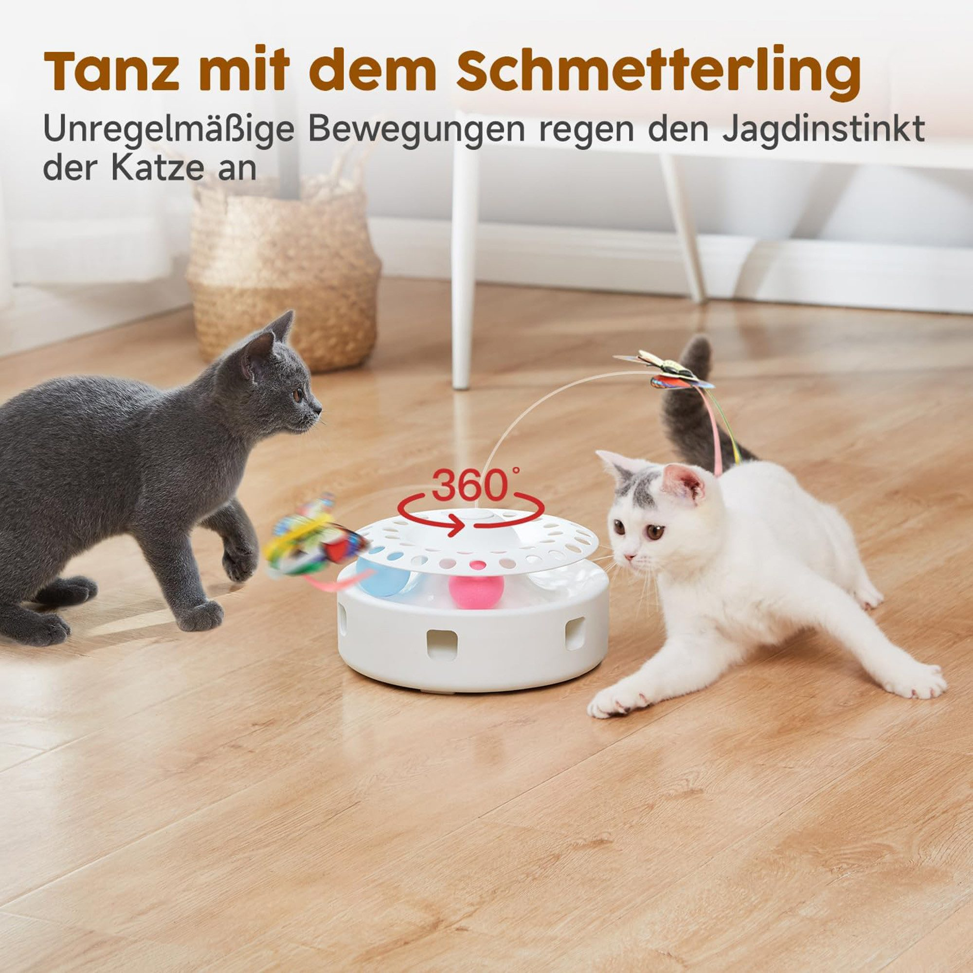 Zwei Katzen spielen mit einem interaktiven Spielzeug mit Schmetterlingen.