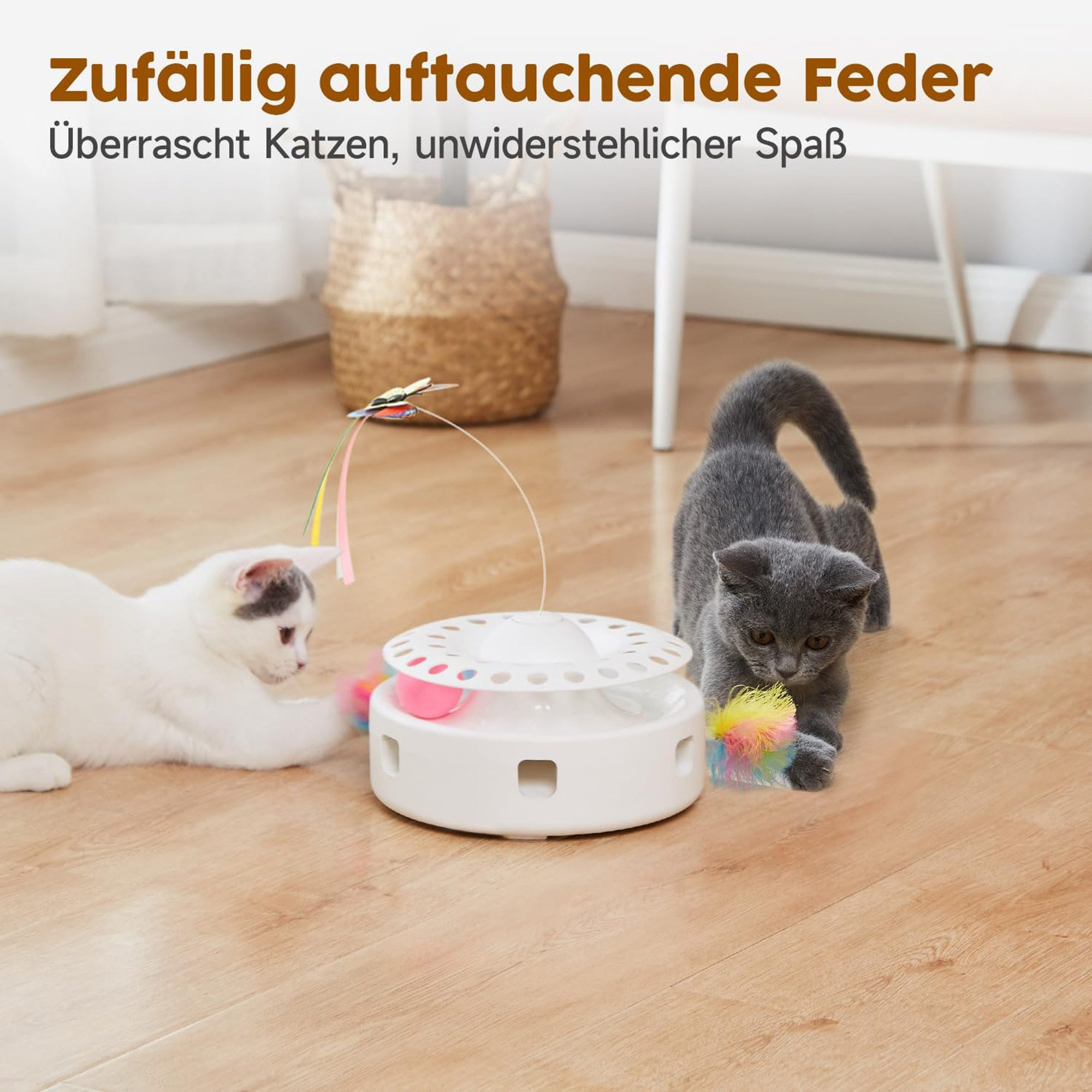Zwei Katzen spielen mit einem interaktiven Spielzeug auf einem Holzboden.