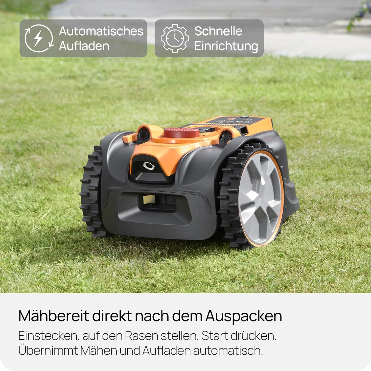 Ein orange-schwarzer Mähroboter steht auf einem grünen Rasen.