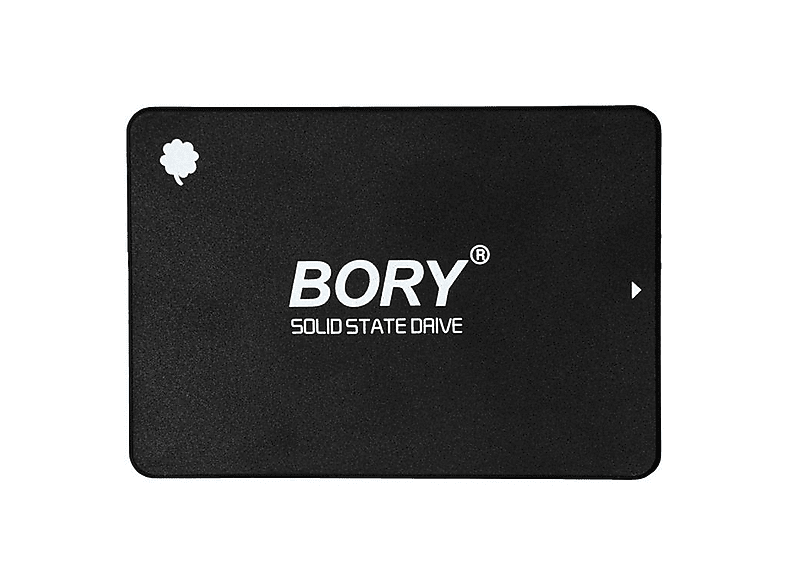 BORY R500-C128G (550/510MB/s) 2.5" SATA 3 Gbit/s 128 GB SSD