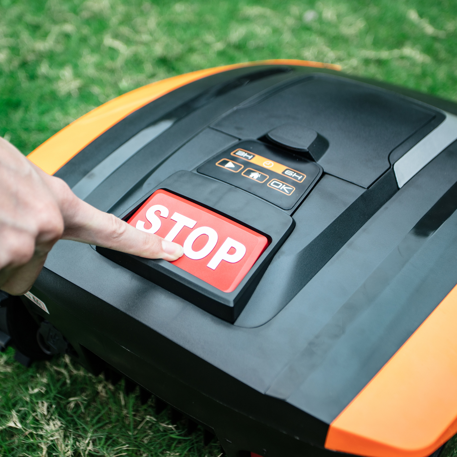 Eine Hand drückt die rote Stopp-Taste auf einem Mähroboter im Gras.