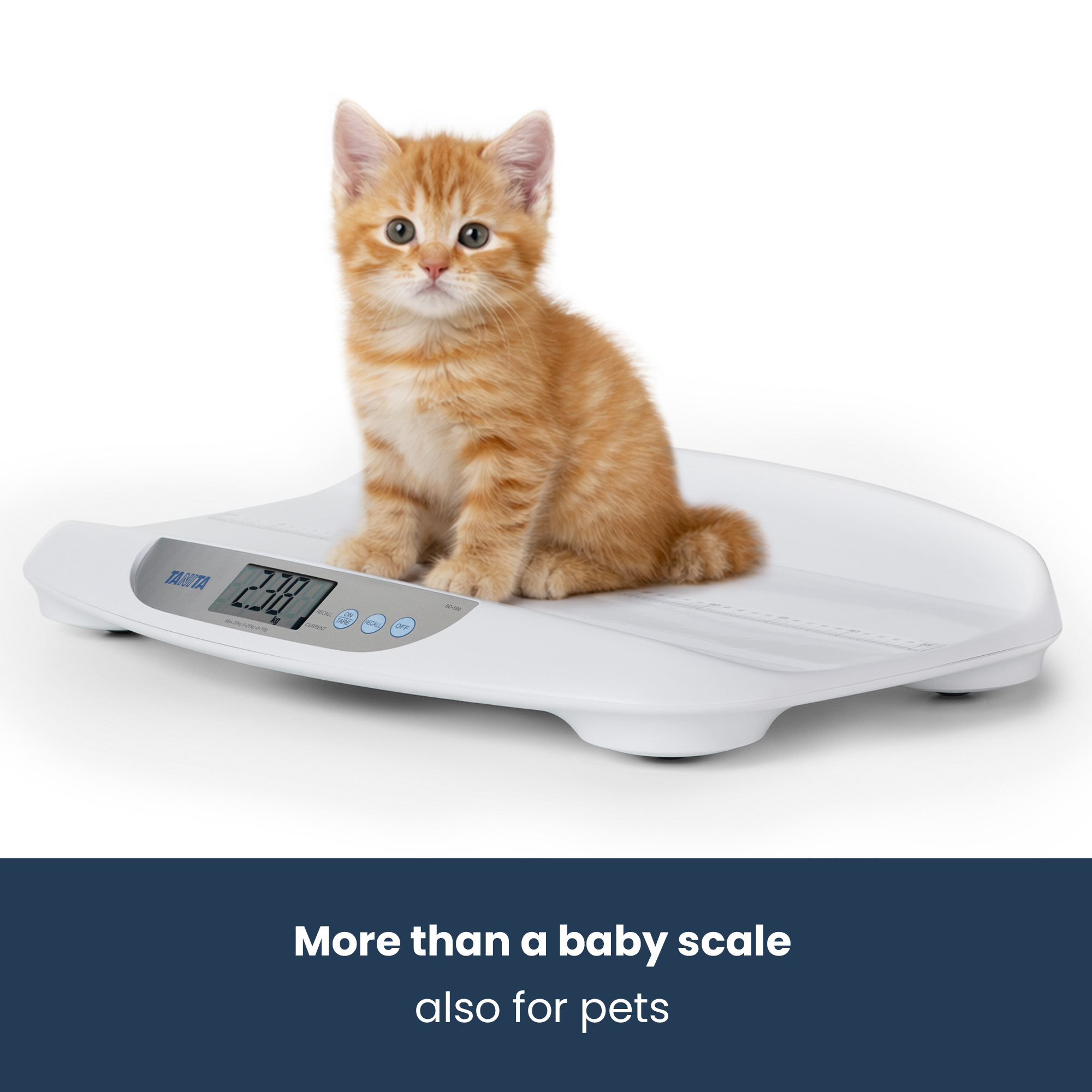 An orange kitten sits on a white digital scale against a white background.