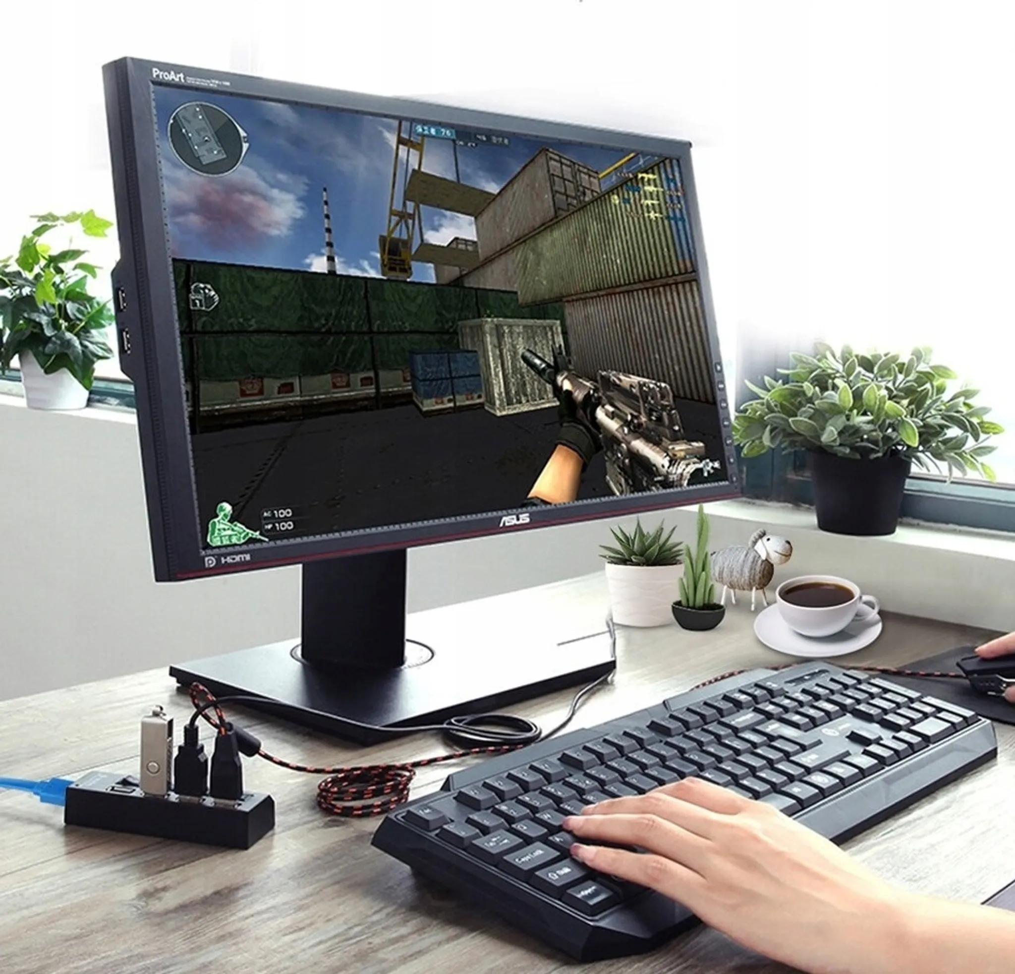 Ein Monitor zeigt ein Ego-Shooter-Spiel. Tastatur, Maus, USB-Hub und Pflanzen.