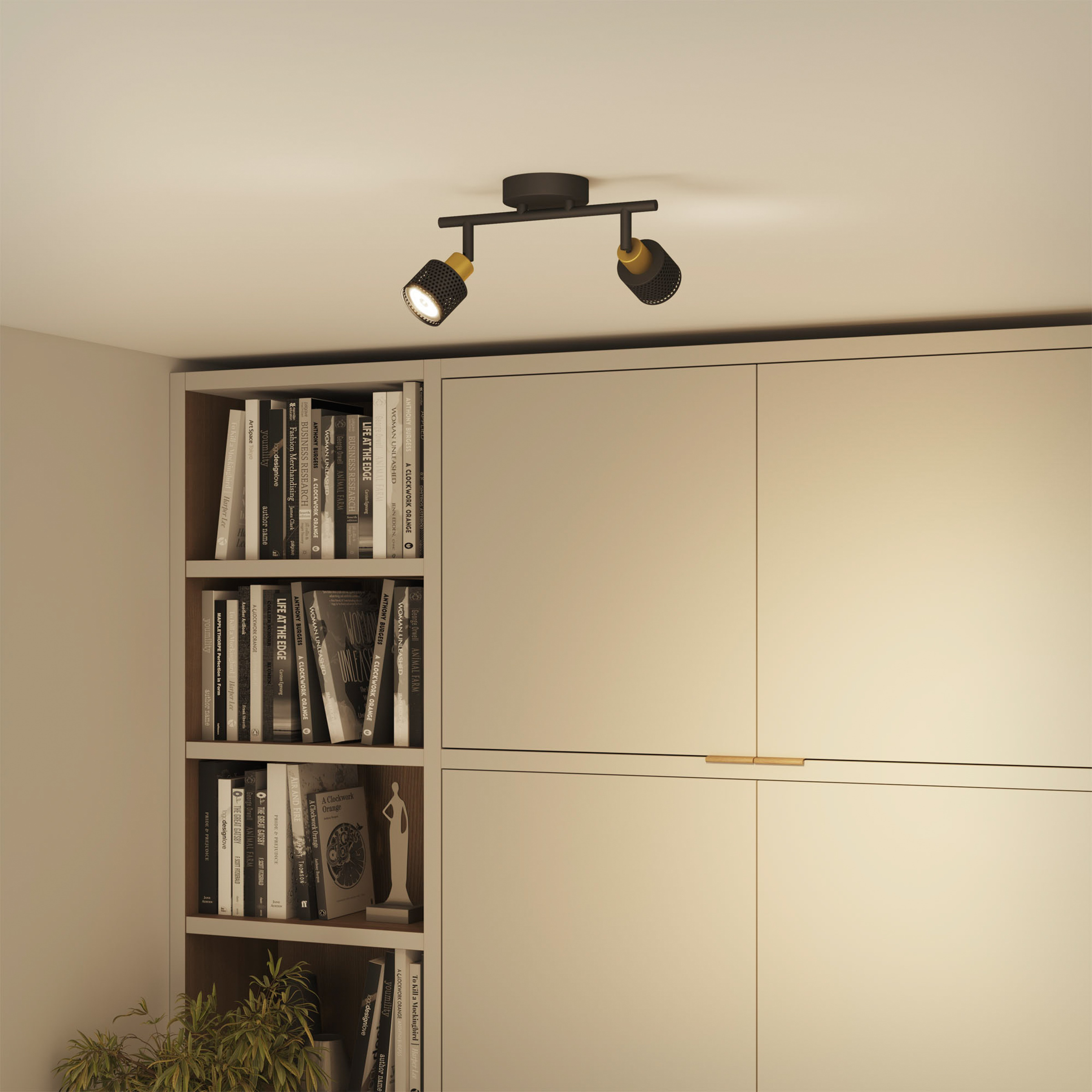 Ein dunkler Deckenstrahler mit zwei Lichtern über einem Bücherregal und Schrank.