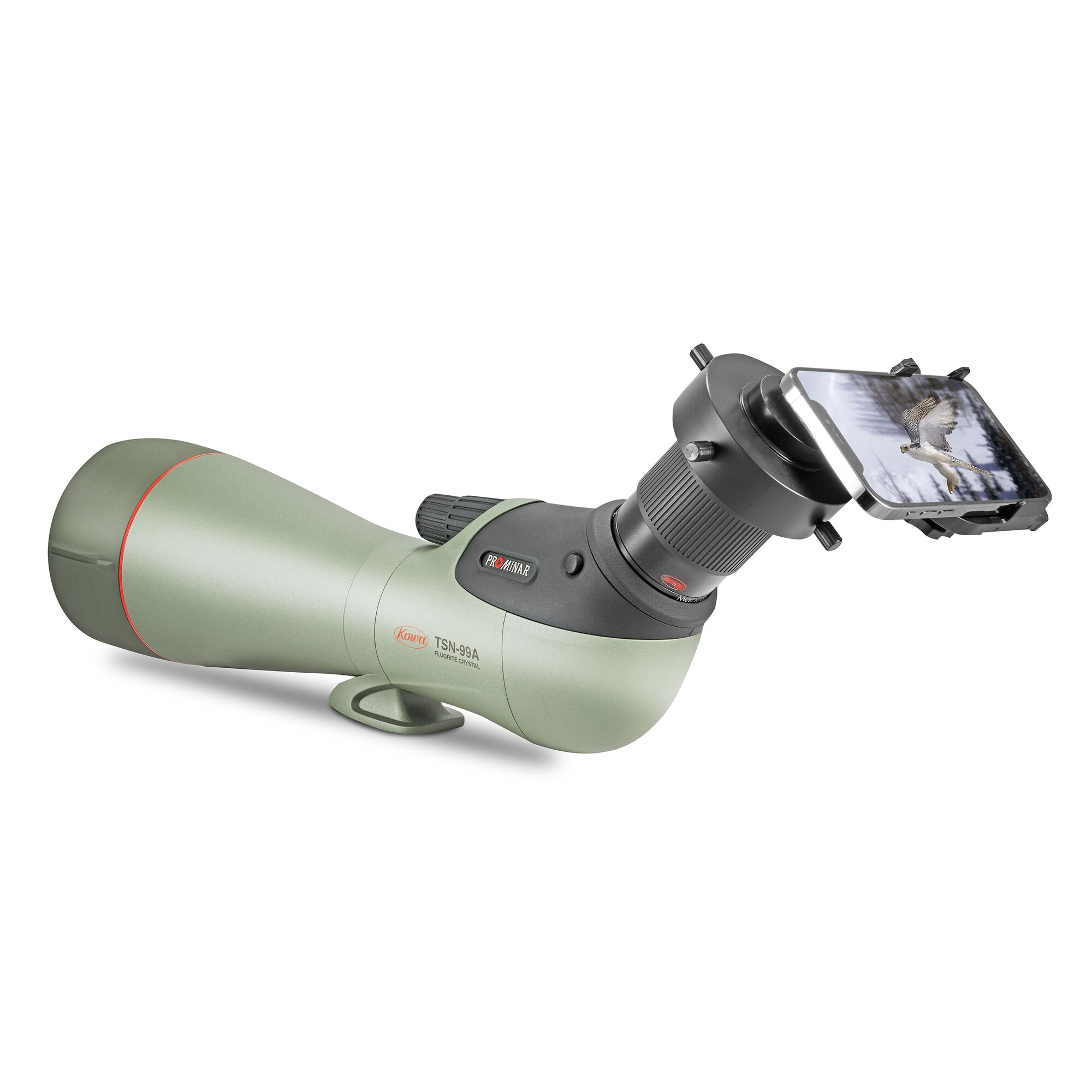 Ein hellgrünes Spektiv mit aufgesetztem Smartphone-Adapter, der ein Bild eines Falken zeigt.