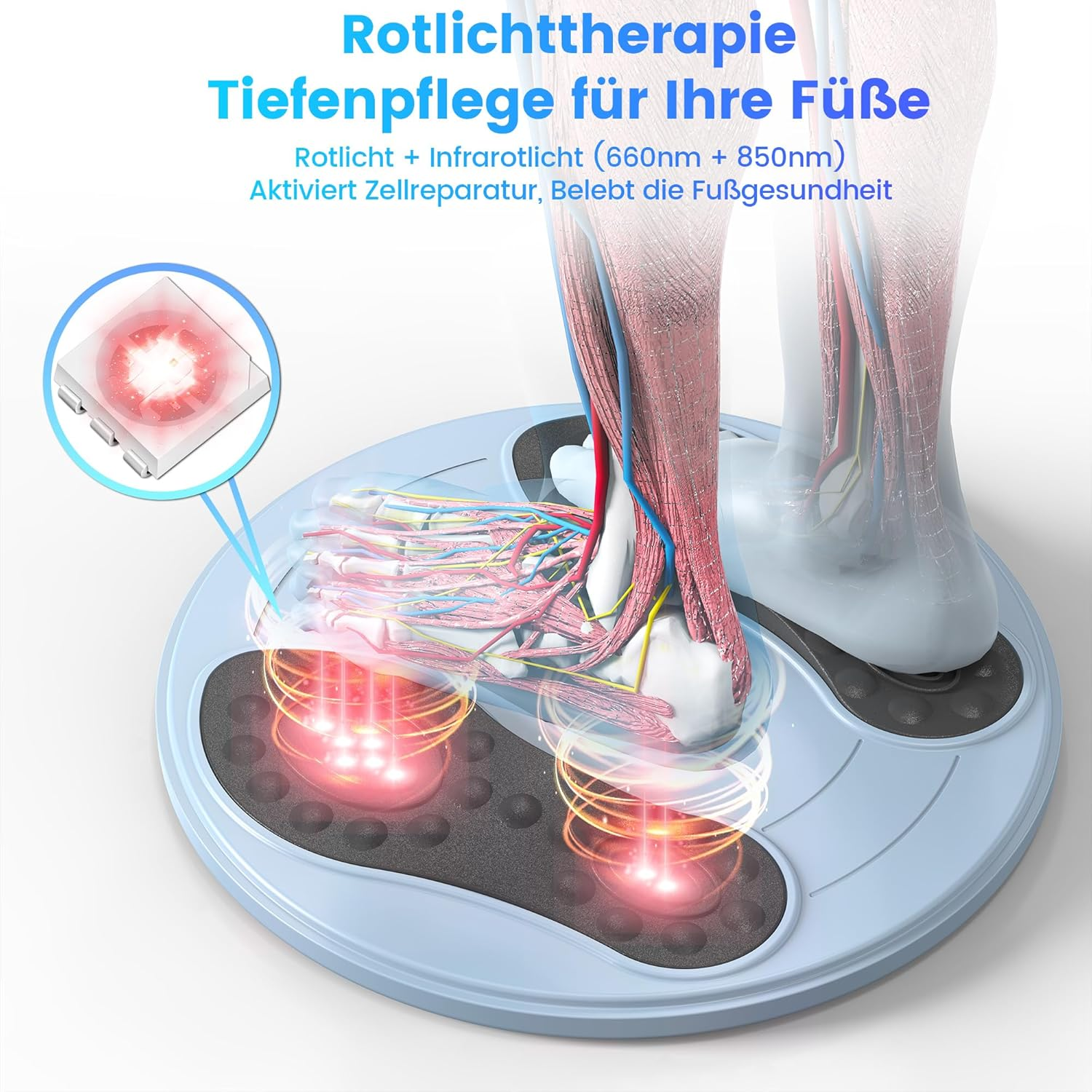 Modell von Füßen auf Gerät für Rotlichttherapie, zeigt Muskeln und Blutgefäße.