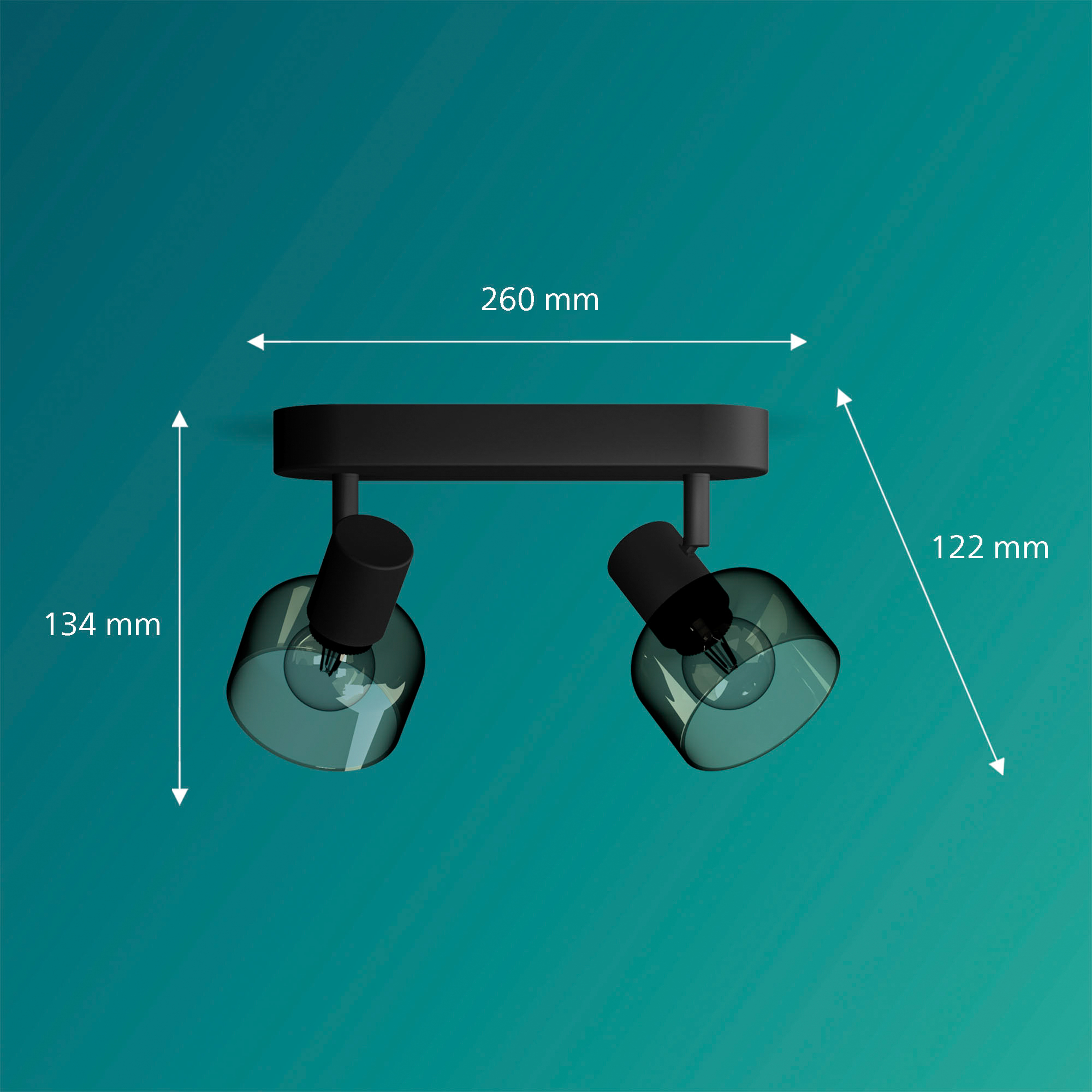 Schwarze Deckenleuchte mit zwei rauchglasfarbenen Lampenschirmen und sichtbaren Glühbirnen.