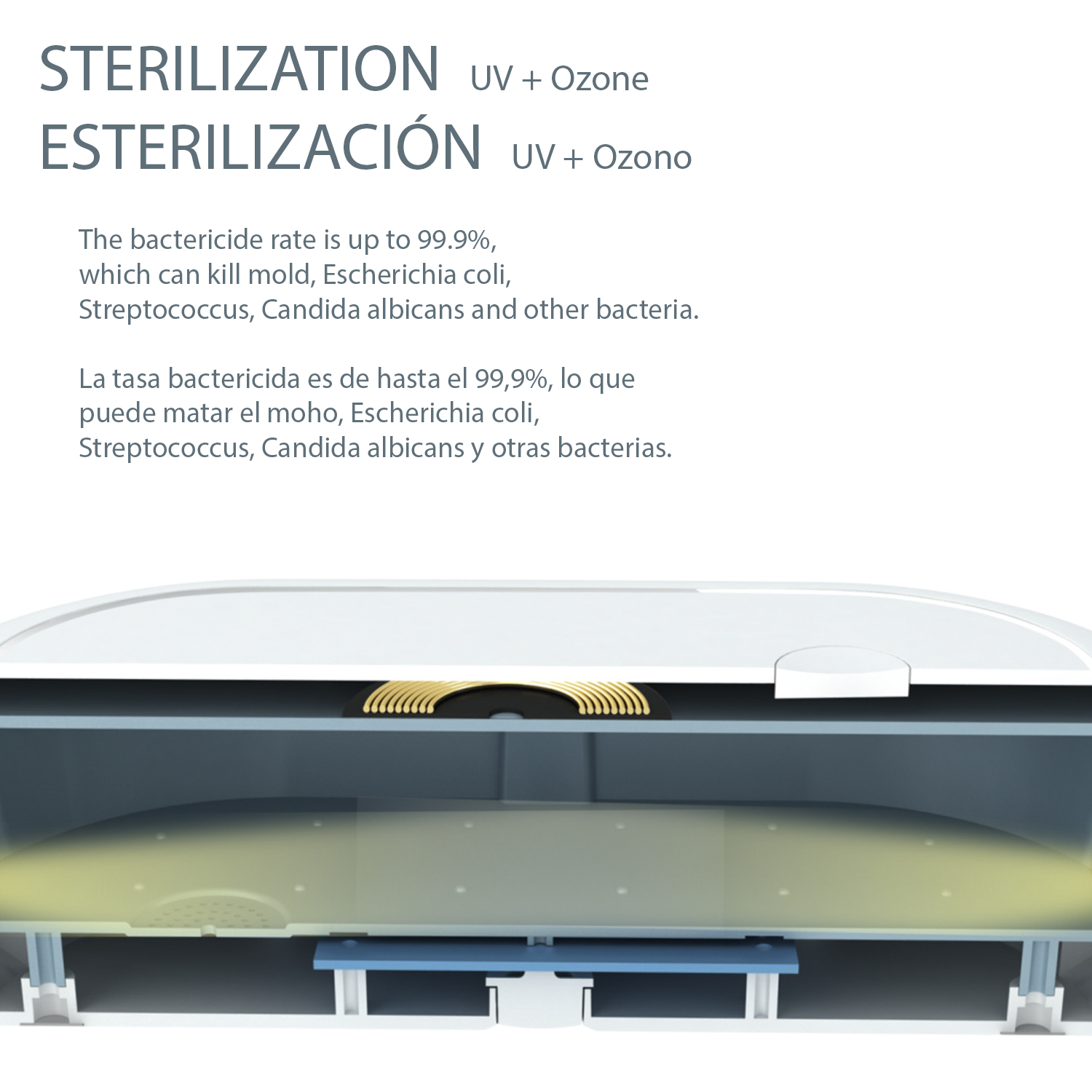 Sezione trasversale di uno sterilizzatore UV e ozono, uccide batteri con 99,9% efficacia.