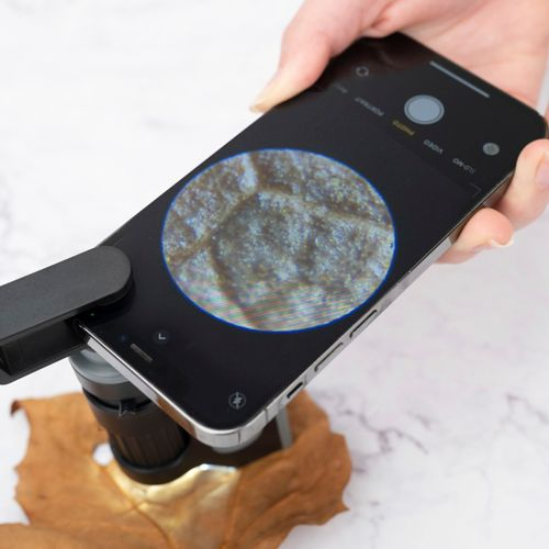 Uno smartphone viene utilizzato per mostrare un primo piano di una foglia al microscopio.