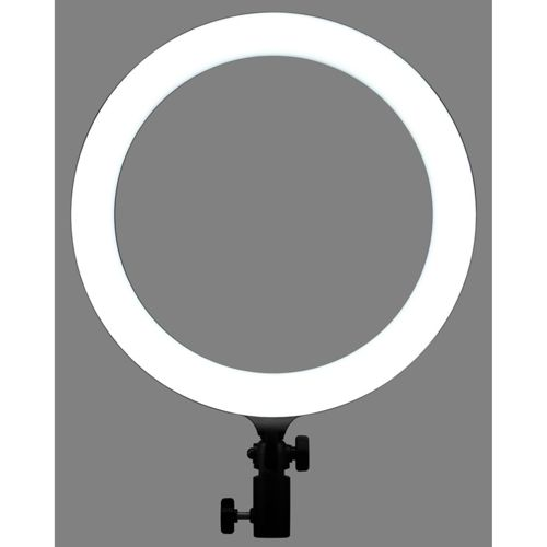 Ein leuchtender Ringlicht mit schwarzer Halterung auf grauem Hintergrund.