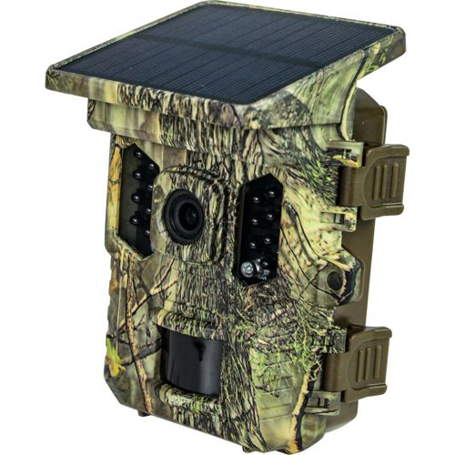 Eine Überwachungskamera mit Tarnmuster und Solarpanel.