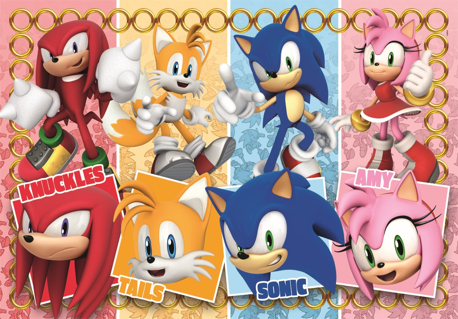 Sonic, Tails, Knuckles y Amy posan ante un fondo de anillos.
