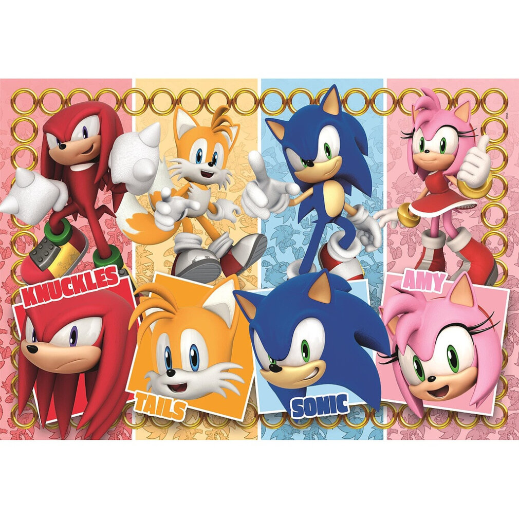 Personajes Sonic, Tails, Knuckles y Amy en fila con anillos. Primeros planos abajo.