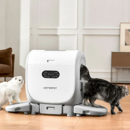 Zwei Katzen vor einem automatischen Katzenklo. Eine weiße Katze steht links, eine getigerte Katze geht hinein.