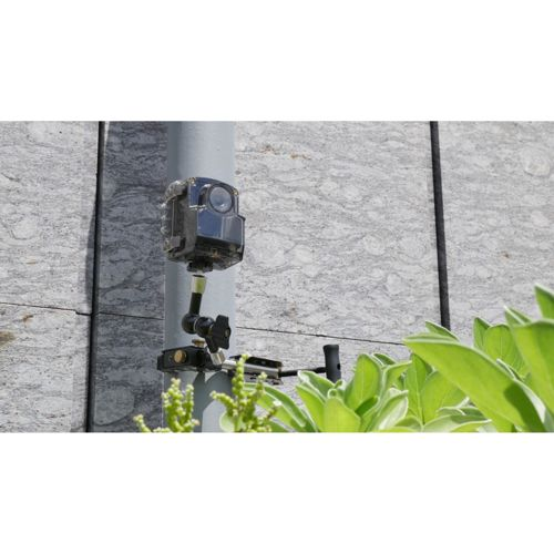 Una cámara de acción está montada en un poste gris, con hojas verdes en primer plano.