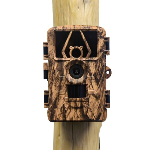 Eine Wildkamera mit Tarnmuster ist an einem Holzpfahl befestigt.