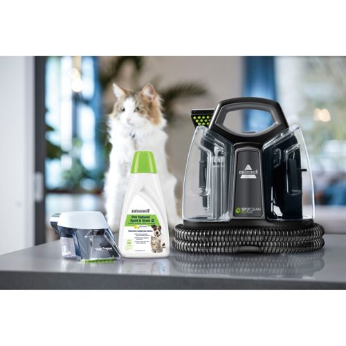 Gatto, soluzione detergente e pulitore per tappeti su un tavolo.