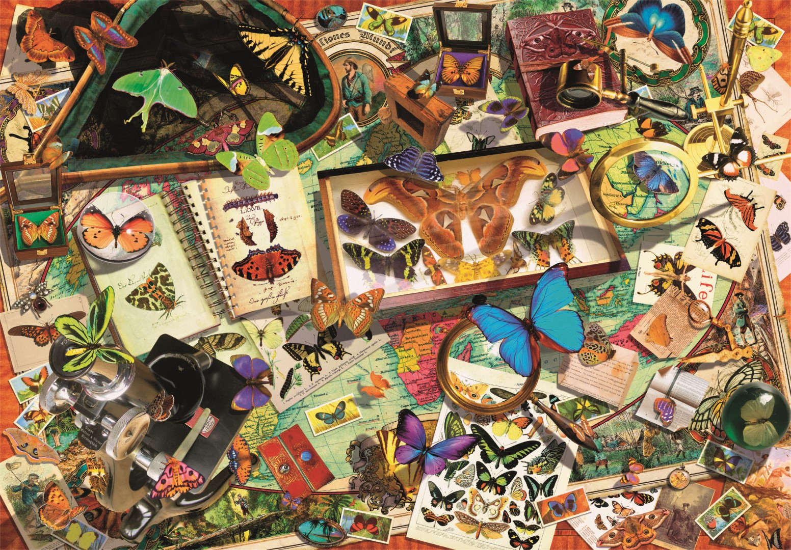 Un collage de mariposas, mapas y notas científicas.