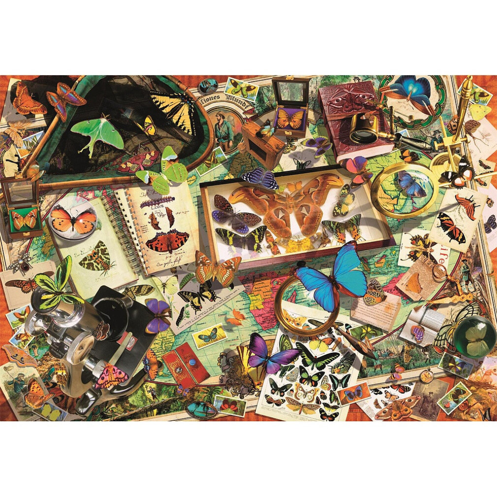 Un collage de mariposas, libros, un microscopio y un mapa.