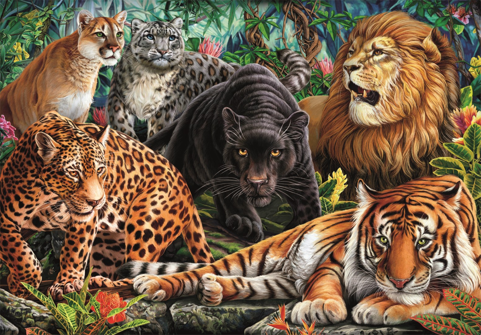 Seis grandes felinos en la jungla: tigre, león, pantera, jaguar, puma, leopardo.