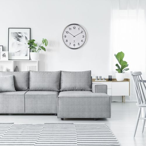 Ein helles Wohnzimmer mit einem grauen Sofa, einem runden Wanduhr und Pflanzen.