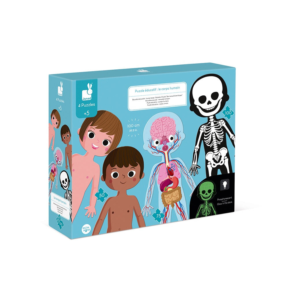 Schachtel mit menschlichen Körperpuzzles für Kinder, zeigt verschiedene Körperteile.