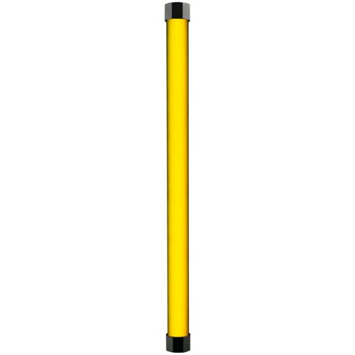 Une tige longue et étroite, jaune avec des capuchons noirs, isolée sur blanc.