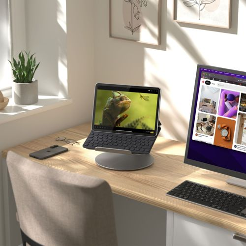 Schreibtisch mit Laptop, der eine Eidechse und eine Libelle zeigt, und einem Monitor mit einer Webseite.