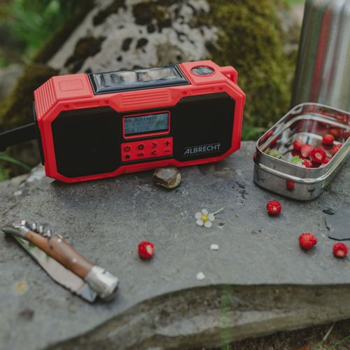 Rotes Albrecht-Radio auf einem Stein mit Walderdbeeren, Messer und Metallbehälter.