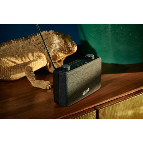 Un lézard doré est assis à côté d'une radio noire avec une antenne sur une table en bois.