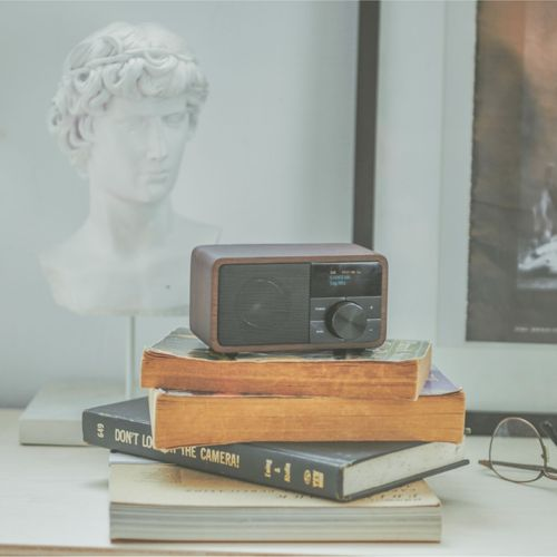 Een bruine radio staat op boeken naast een buste. Rechts ligt een bril.