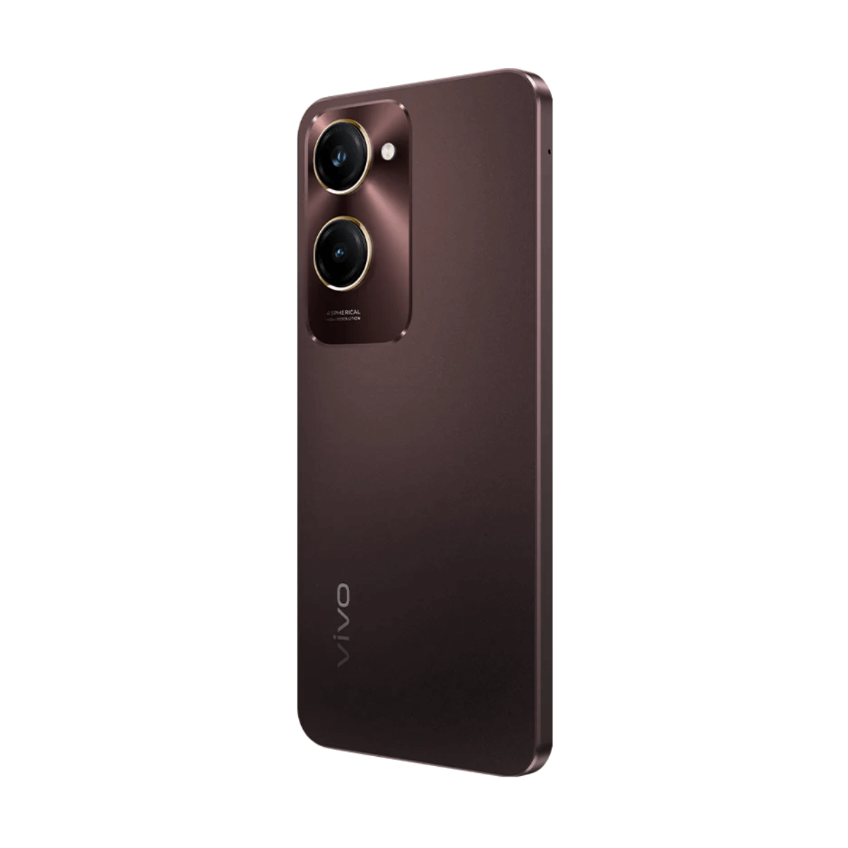 Smartphone marrone scuro con due fotocamere e logo VIVO su sfondo bianco.