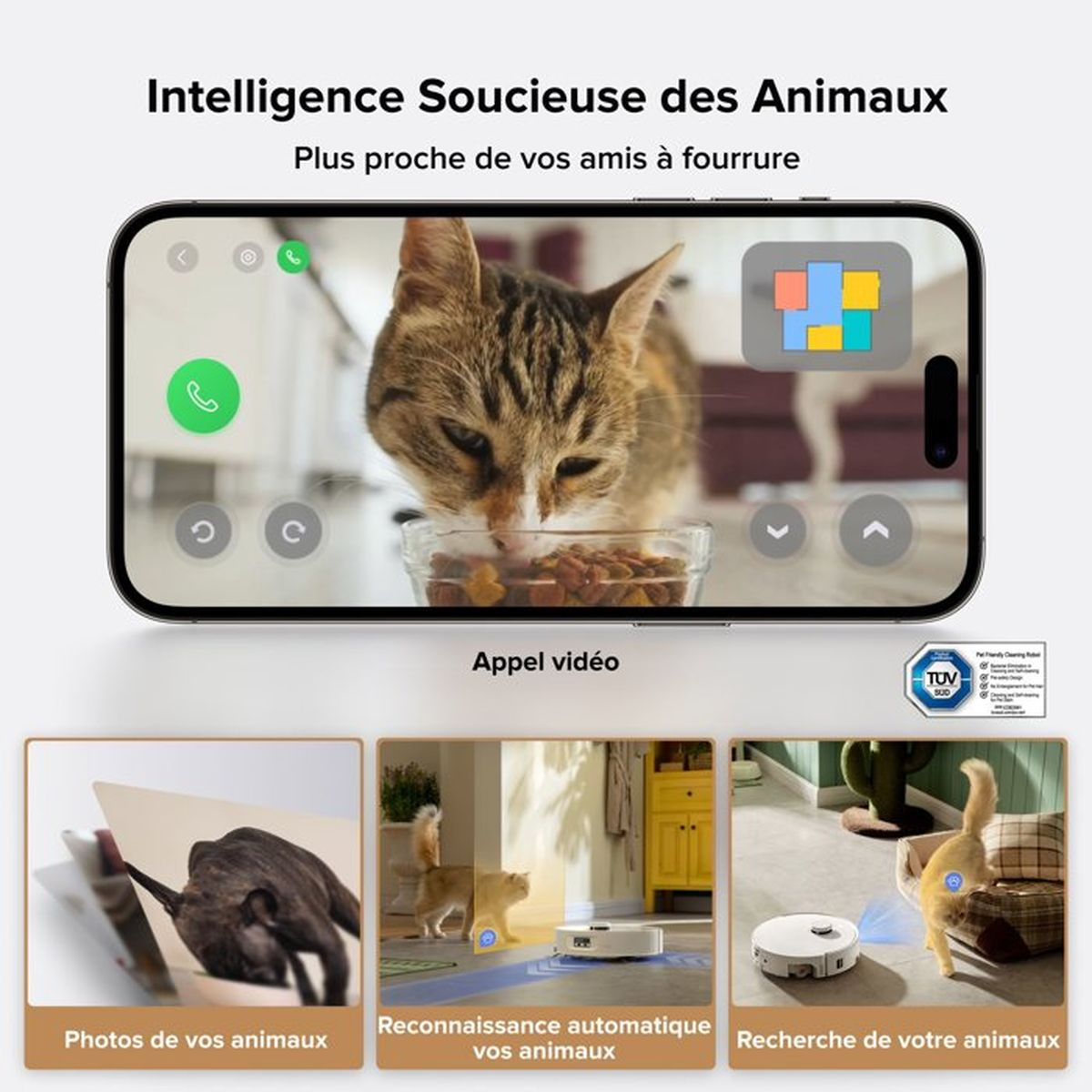 Ein Smartphone zeigt eine Katze, die frisst. Unten sind drei Bilder: Tierfotos, automatische Tiererkennung, Tierlokalisierung.