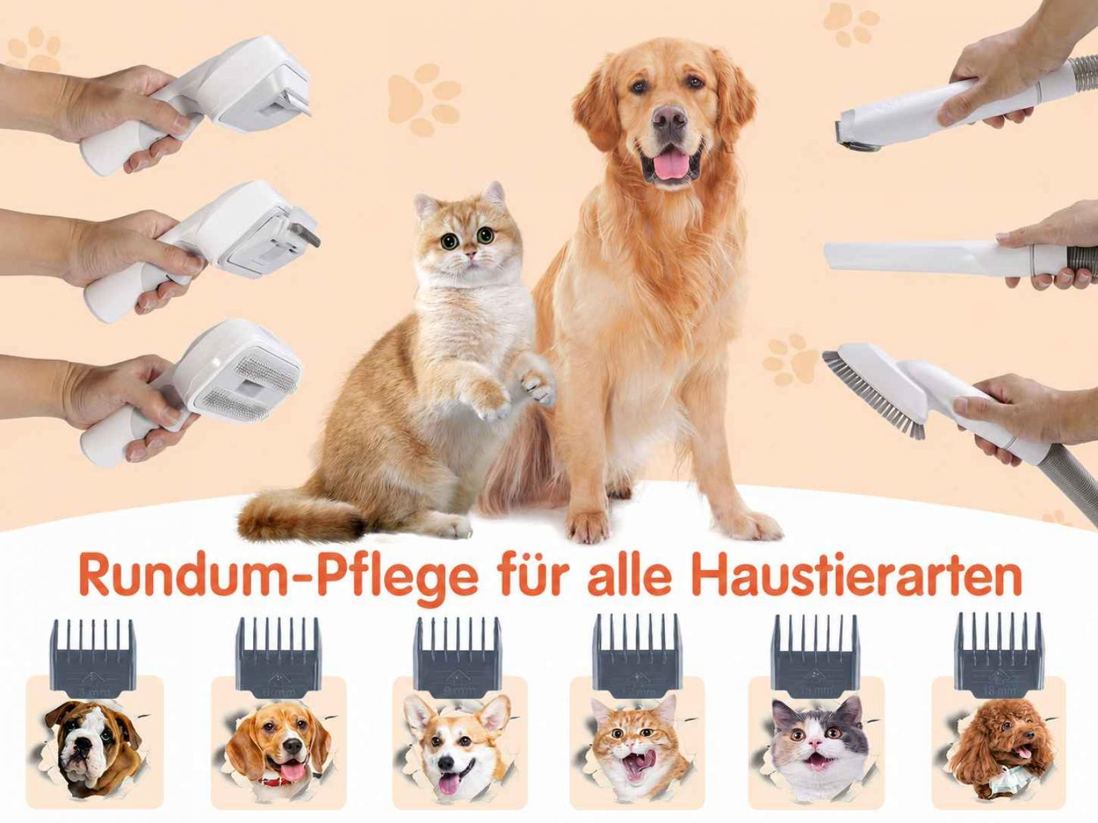 Goldener Retriever und Katze mit Haustierpflegegeräten und verschiedenen Hunderassen.