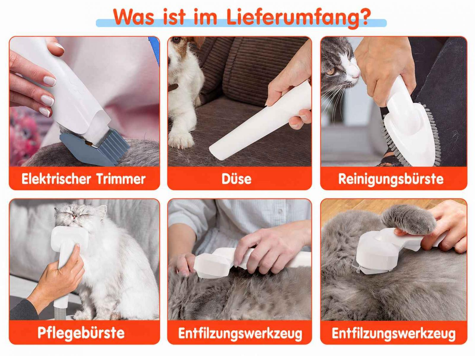 Pet grooming tools: trimmer, nozzle, brush, grooming brush, detangler.