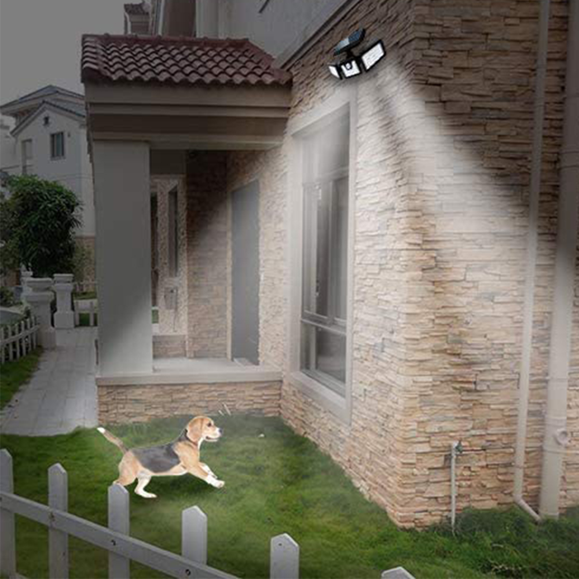 Ein Hund läuft auf einer grünen Rasenfläche vor einem Haus. Eine Lampe leuchtet.