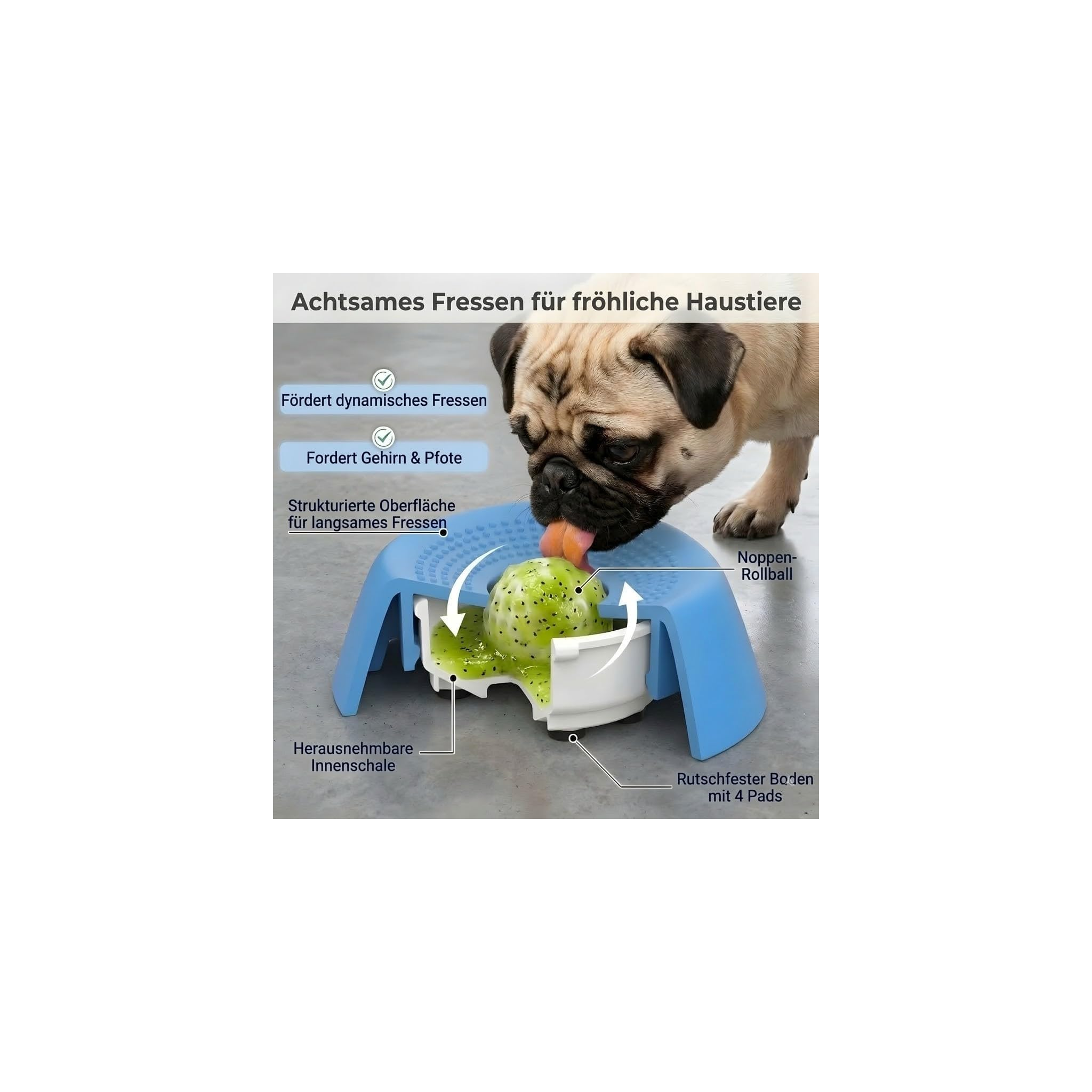 Ein Mops frisst aus einem blauen Futterspielzeug mit einem grünen Ball.
