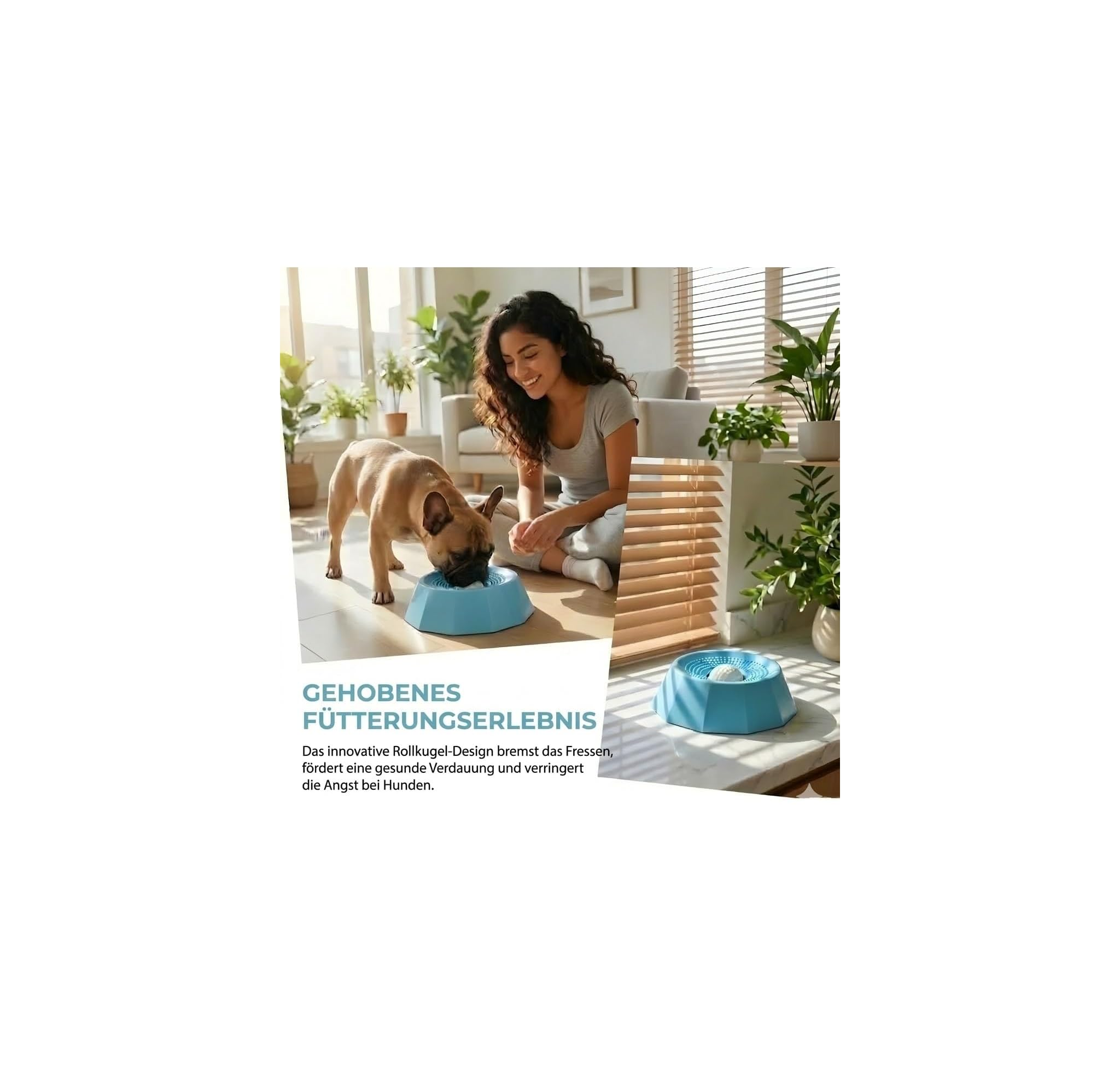 Ein Hund frisst aus einem blauen Napf, während eine Frau zusieht. Pflanzen im Hintergrund.