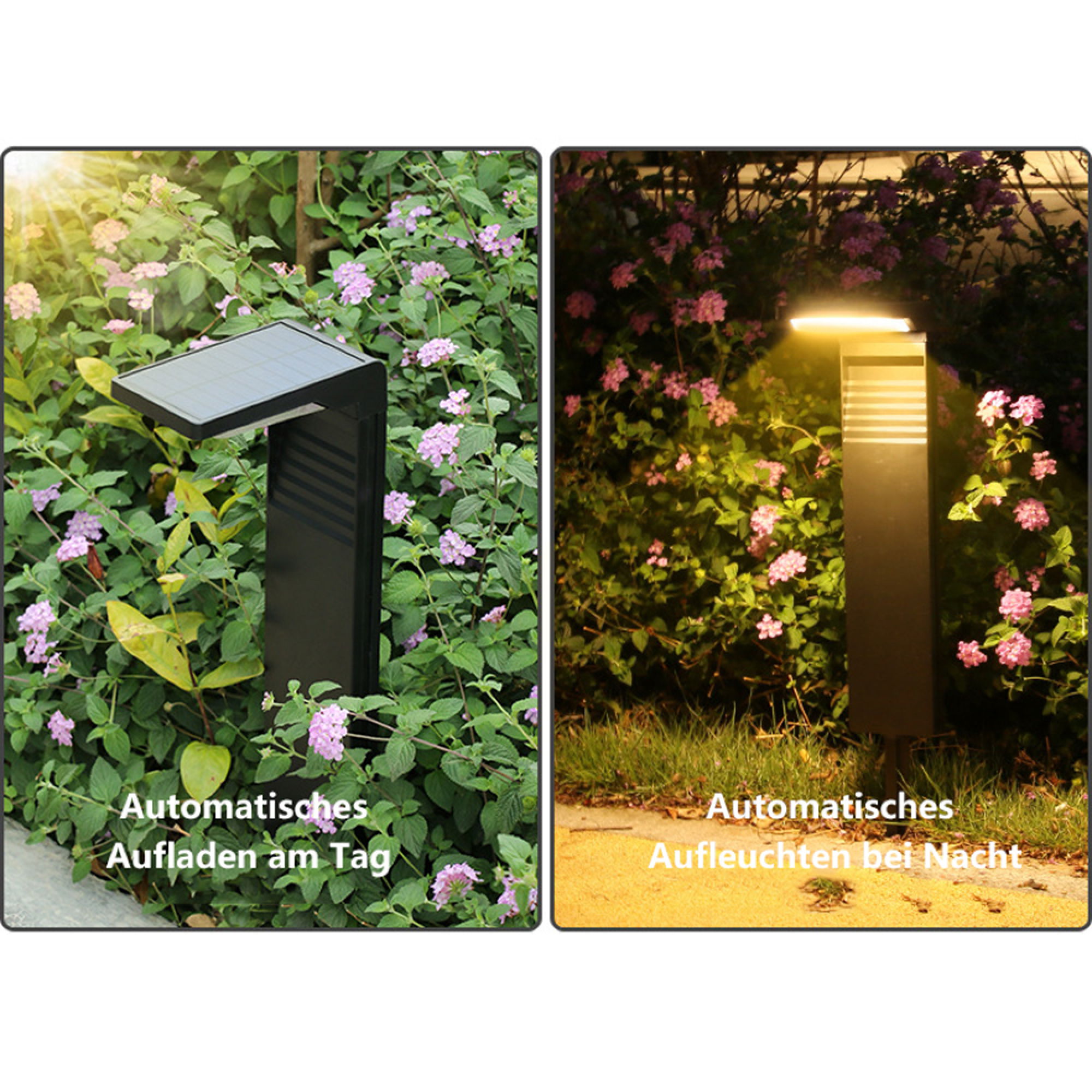 Solarleuchte im Garten: Tagsüber aufladen, nachts leuchten.