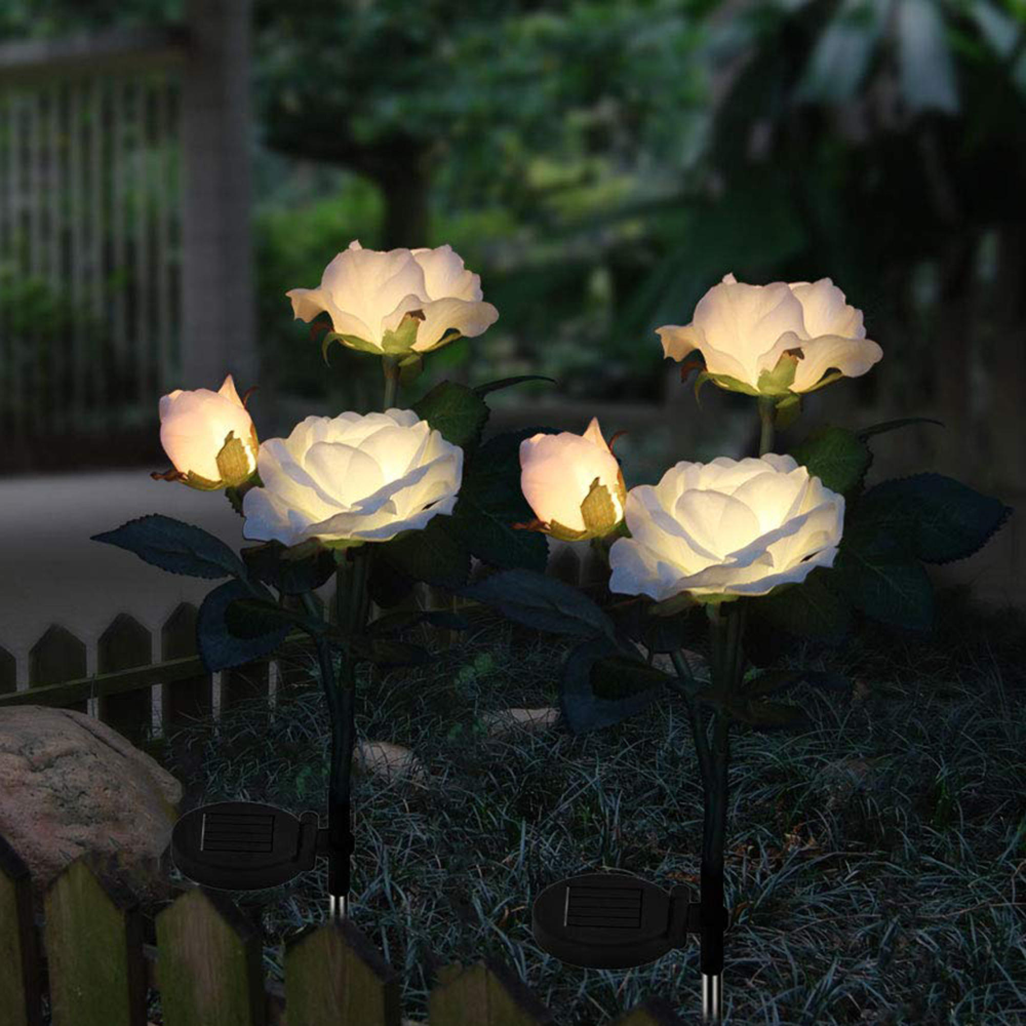 Beleuchtete weiße Rosenlampen leuchten im Garten bei Nacht neben einem Zaun.