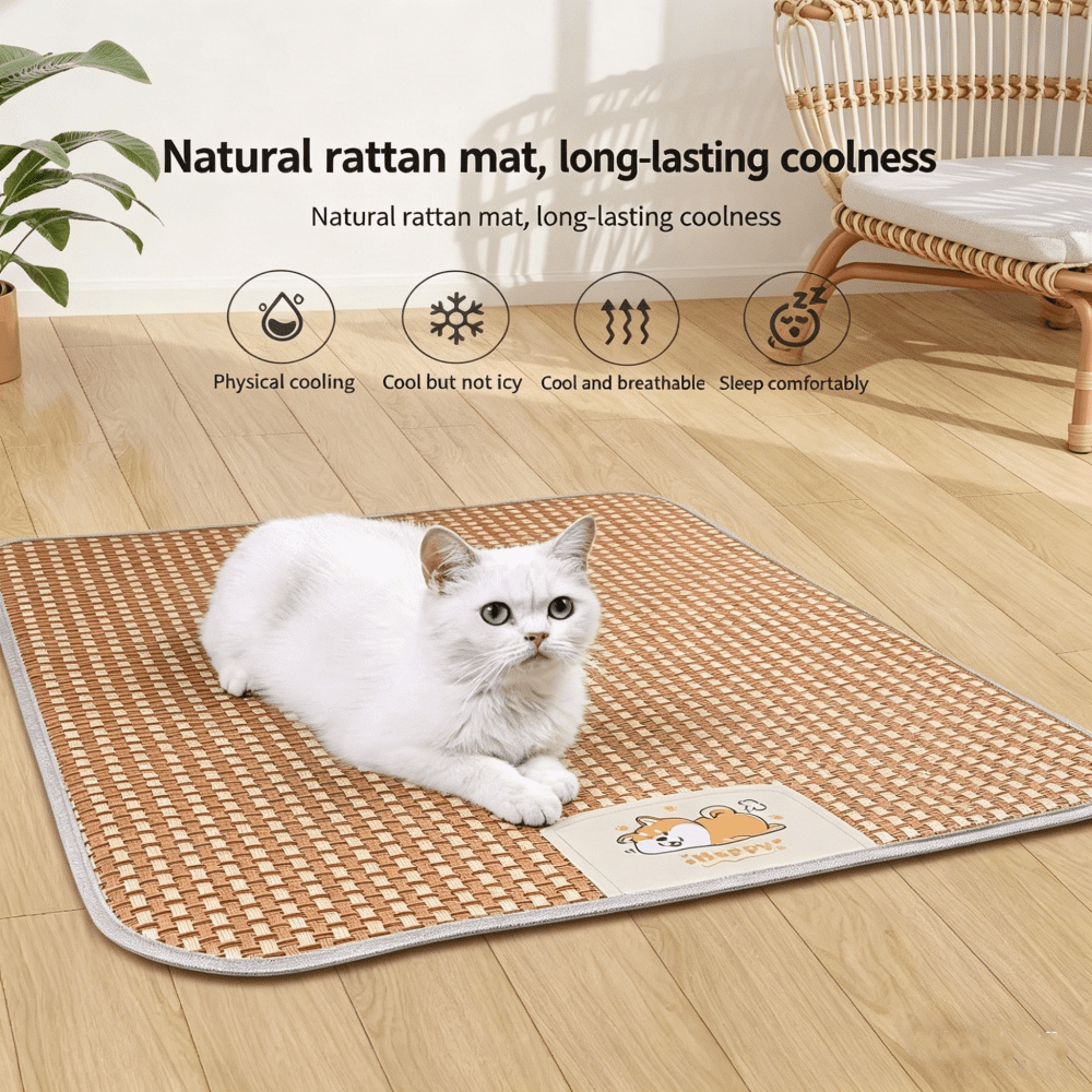 Eine weiße Katze liegt auf einer natürlichen Rattanmatte auf Holzboden.