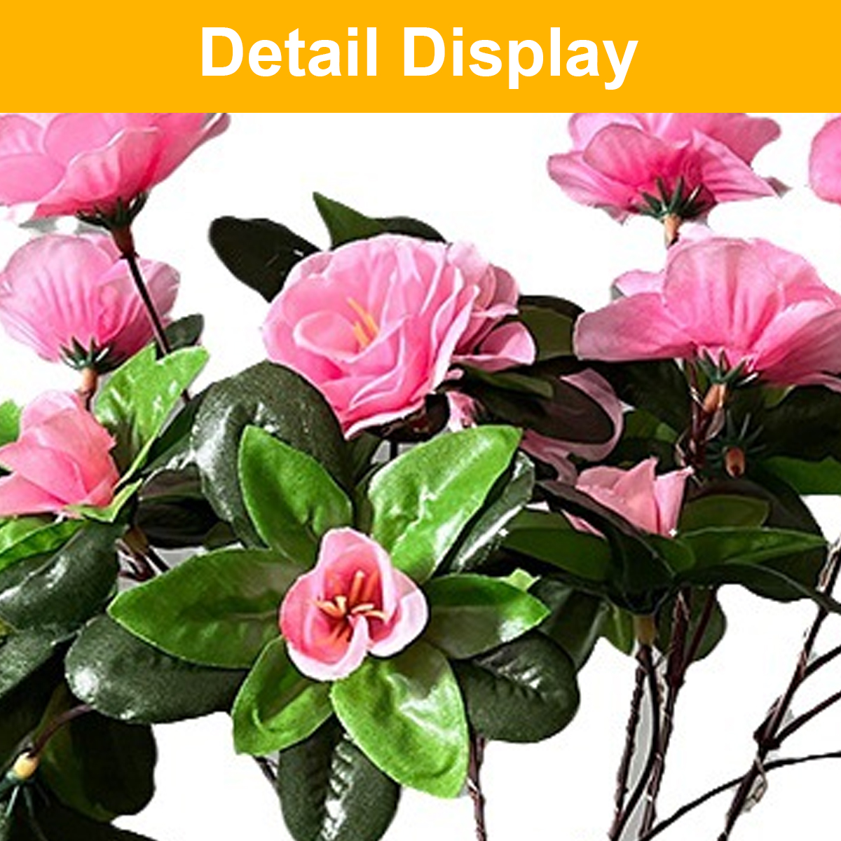 Nahaufnahme von rosa Blüten mit grünen Blättern und braunen Stielen.